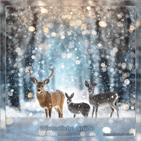winterliche Grüße